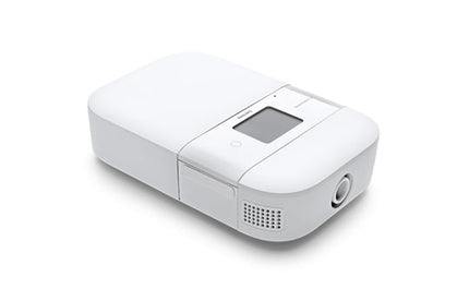 DreamStation Go Overnight Battery (1133281)