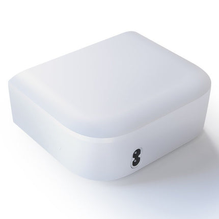 DreamStation Go Overnight Battery (1133281)