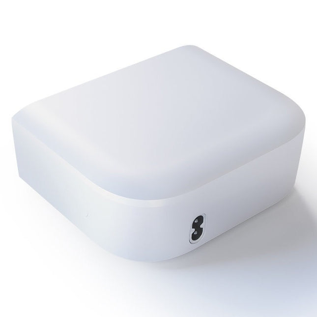 DreamStation Go Overnight Battery (1133281)